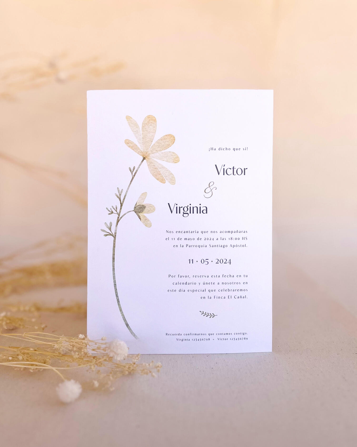 Invitación Alba